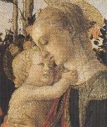 Sandro Botticelli Madonna of the Rose Garden or Madonna and Child with St John the Baptist oil painting